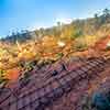 Cyclorama exhibit, Atlanta History Center, October 2023