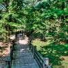 Indiana Universty Bloomington Campus photo, July 2012