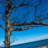 Cape Cod, Massachusetts, November 2017