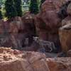 Disneyland Big Thunder Mountain Railroad October 2014