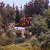 The Burning Cabin at Disneyland photo, May 1960