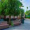 Buena Vista Street, December 5, 2012