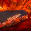 Radiator Springs Racers at Disney California Adventure March 2016