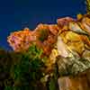 Disney California Adventure Grizzly Peak photo, December 2012