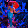 Disney California Adventure Little Mermaid attraction July 2012