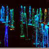 Disney California Adventure World of Color September 5, 2010