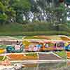 Disneyland Casey Junior Circus Train, October 2007