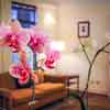 Chateau Marmont photo, Room 77, January 2009