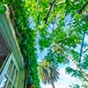Chateau Marmont Cottage 89, April 2025