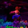 Disneyland Splash Mountain December 2012