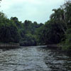 Busch Gardens, Florida photo, Spring 1982
