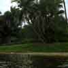 Busch Gardens, Florida photo, Spring 1982