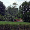 Busch Gardens, Florida photo, Spring 1982