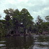 Busch Gardens, Florida photo, Spring 1982