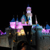 D23 1 Year Anniversary Party at Fantasyland in Disneyland, March 10, 2010