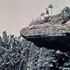 Encyclopaedia Britannic Disneyland Adventureland photo
