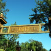 WDW Animal Kingdom January 2010
