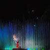 WDW Disney's Hollywood Studios Fantasmic January 2010