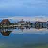 WDW Polynesian Resort January 2010