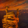 Disneyland Grand Canyon Diorama February 2013