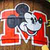 Disneyland Fantasyland Toontown Depot, July 2008