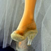 Photo of vinyl Gene Marshall wearing Madame Alexander Disney Cinderella outfit