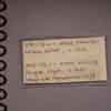 Louisiana State Museum Archives, August 2016