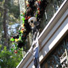 Haunted Mansion Holiday exterior September 2009