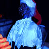 Disneyland Haunted Mansion Holiday November 2010
