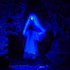 Disneyland Haunted Mansion Little Leota May 2012