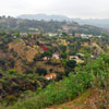 Runyon Canyon March 2012
