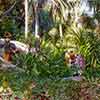 Disneyland Jungle Cruise Natives, December 2006