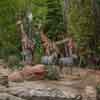 Jungle Cruise African Veldt May 2015