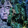 Jungle Cruise photo, July 1962