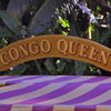 Jungle Cruise, February 2006