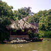 Adventureland Jungle Cruise dock area, August 1959