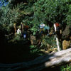 Jungle Cruise Natives, January 1965