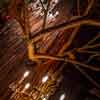 Clifton's Cafeteria in Los Angeles July 2018