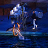 Marineland January 1962