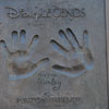 Walt Disney Studio in Burbank November 2009