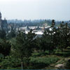 Disneyland Snow Hill photo, December 1956