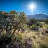 Miraval Arizona Resort and Spa, March 2019