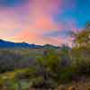 Miraval Arizona Resort and Spa, March 2019