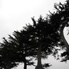 Monterey, California June 2008