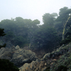 Monterey California photo, July 1970