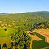 Daveland Napa Valley Balloon photo, June 2009