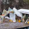 Fannie Mae Dees Park Dragon sculpture, Hillsboro, February 2018