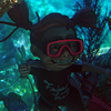 Finding Nemo Submarine Voyage, January 2009