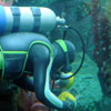 Finding Nemo Submarine Voyage, February 2009
