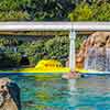 Disneyland Finding Nemo Submarine Voyage animation, September 2010